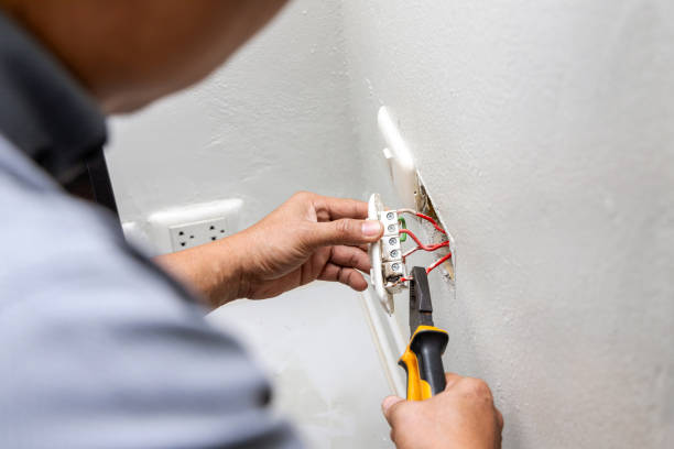 Best Local Electrician Companies  in Mcnary, AZ